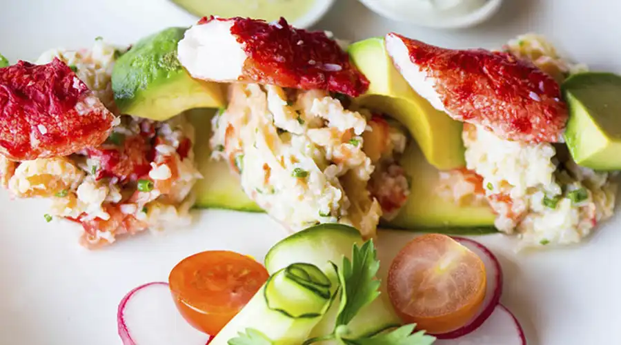 Cormorán de las Rocas